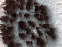 зонд nasa сфотографировал  волосообразные  структуры на марсе
